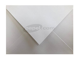 Envelope (REF 10 - 16,0 x 22,0 cm) Color Plus Tx Opalina Telado