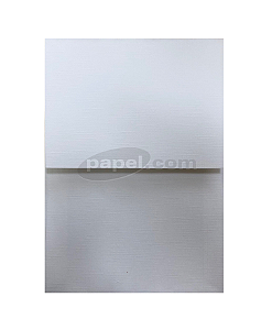 Envelope (REF 07 - 21,2 x 15,1 cm) Color Plus Tx Opalina Telado