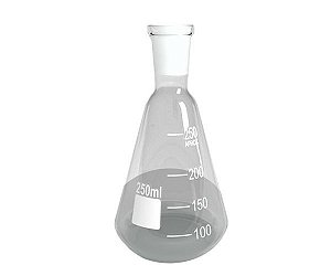 ERLENMEYER DE VIDRO COM JUNTA 24/40 300ML