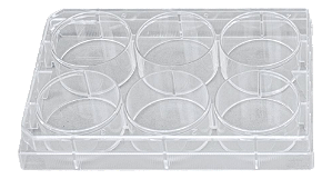 MICROPLACA PARA CULTURA CELULAR COM 6 ORIFICIOS