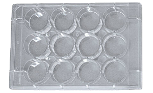 MICROPLACA PARA CULTURA CELULAR COM 12 ORIFICIOS