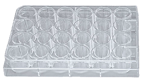 MICROPLACA PARA CULTURA CELULAR COM 24 ORIFICIOS