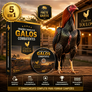 DVD Criação e Manejo de Galos Combatentes 5 em 1 – Criatório Toulon