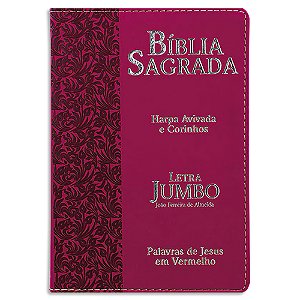 Bíblia Feminina com Harpa e Corinhos Letra Jumbo capa Pink
