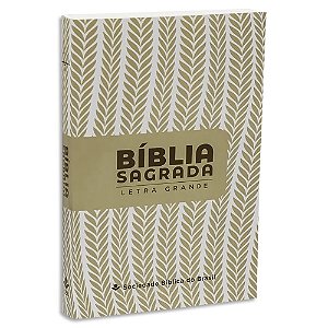 Bíblia ARC Letra Grande capa Ilustrada Brochura