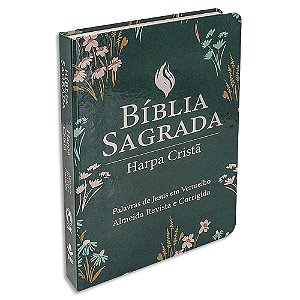 Bíblia com Harpa Letra Grande capa Ilustrada