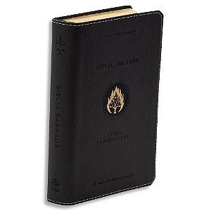 Bíblia Letra SuperGigante ARC Cinza Escuro