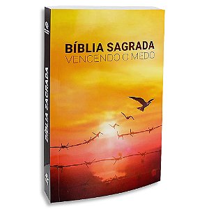 Bíblia Sagrada NAA Vencendo o Medo
