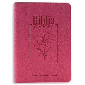 Bíblia Feminina NAA Letra Grande Capa Goiaba