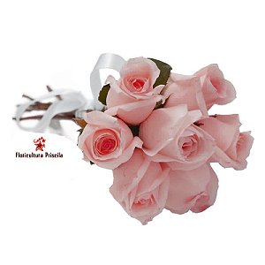 Buquê Rosas Cor de Rosa Delicate 6