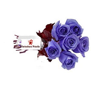 Buque 6 Rosas Azuis