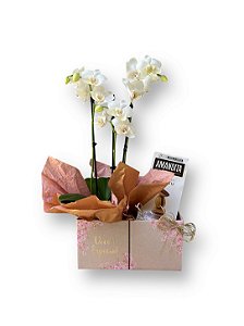 Orquídea Branca Carinho