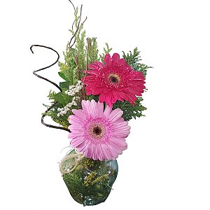 Arranjo de Duas Gerberas Coloridas no Vaso