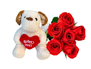 Buque 6 rosas e Pelucia