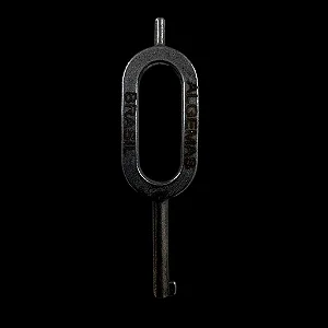 CHAVE DE ALGEMA MASTER ALGEMAS BRASIL