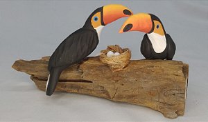 CASAL DE TUCANOS NO TRONCO