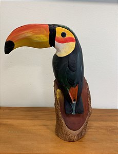 Tucano no Toco | Alagoas