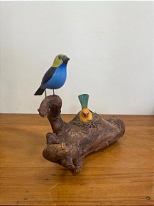Passarinho com ninho no tronco pintadas a mão em madeira/ Arte Pássaros -MG
