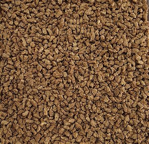 PROTEINA DE SOJA CARNE 100G