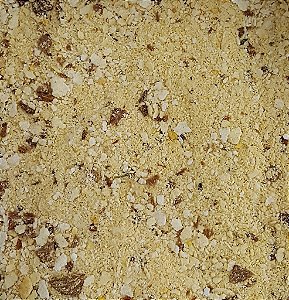 FAROFA DE SOJA NATURAL 100G