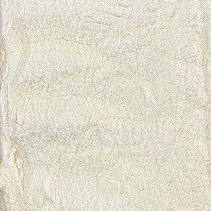 LEITE EM PO DESNATADO 100G