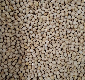 SOJA EM GRAO 100G