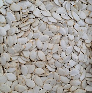 SEMENTE DE ABOBORA C/CASCA S/SAL 100G