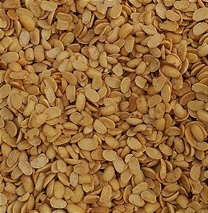 SOJA TORRADA S/SAL 100G