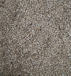 SEMENTE DE GIRASSOL CRUA 100G