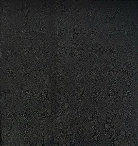 CARVAO VEG ATIVADO 100G