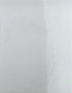 FRUTOSE CRISTALINA 100G