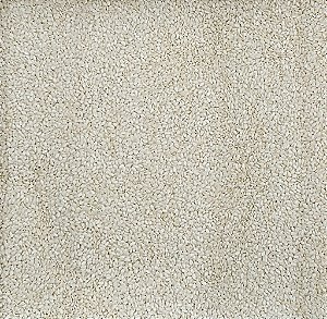 GERGELIM BRANCO 100G