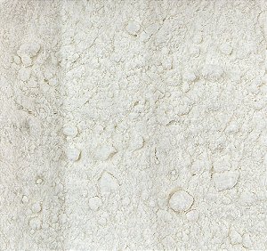 LEITE DE COCO EM PÓ VEGANO 100G