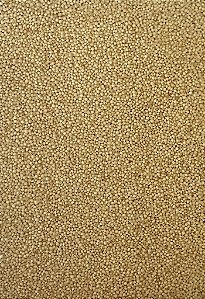 AMARANTO EM GRAO 100G