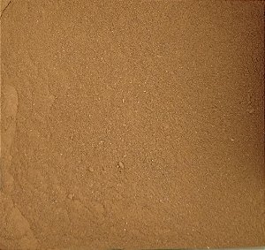 CANELA EM PÓ PURA 100G