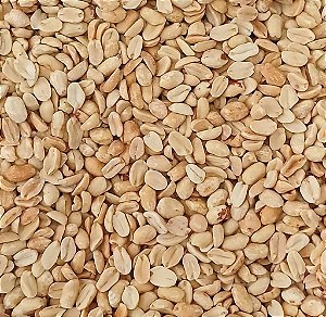 AMENDOIM TORRADO S/ PELE S/ SAL 100G