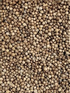 COENTRO EM GRAOS 100G