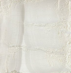 LEITE DE COCO EM PÓ 100G