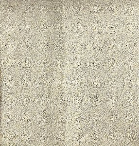 FARINHA DE BANANA VERDE 100G