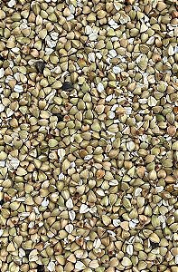 TRIGO MOURISCO / SARRACENO EM GRAO 100G