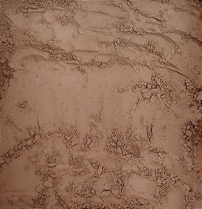 CACAU EM PÓ ALCALINO 100G