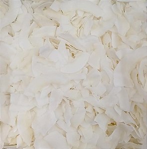 COCO CHIPS S/ BORDA S/ AÇUCAR 100G