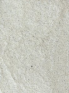 FARINHA DE TRIGO MOURISCO / SARRACENO 100G