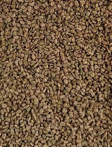 FENO GREGO GRAOS 100G