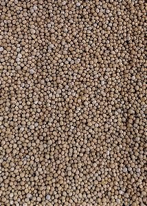 MOSTARDA EM GRAO 100G