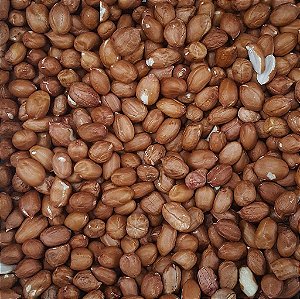 AMENDOIM CRU C/ PELE 100G