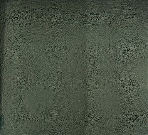 SPIRULINA EM PÓ 100G