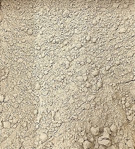 GENGIBRE EM PÓ 100G