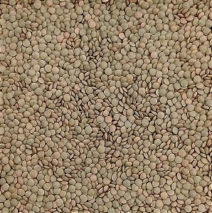 LENTILHA 100G
