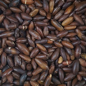 CASTANHA DE BARU 100G